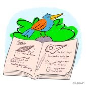 Non-Fiction